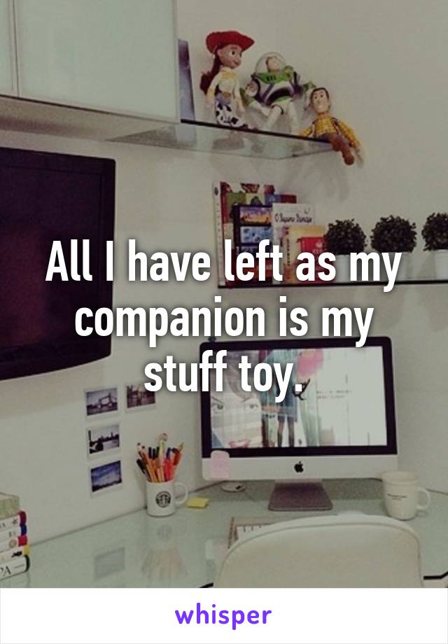 All I have left as my companion is my stuff toy.