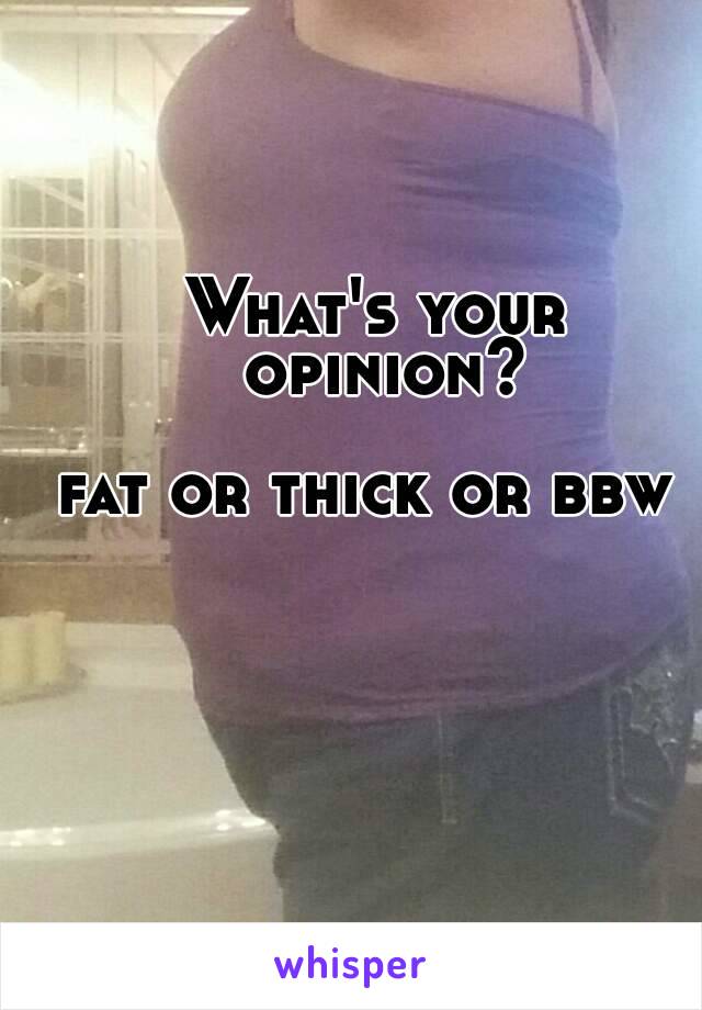 What's your opinion?

fat or thick or bbw 