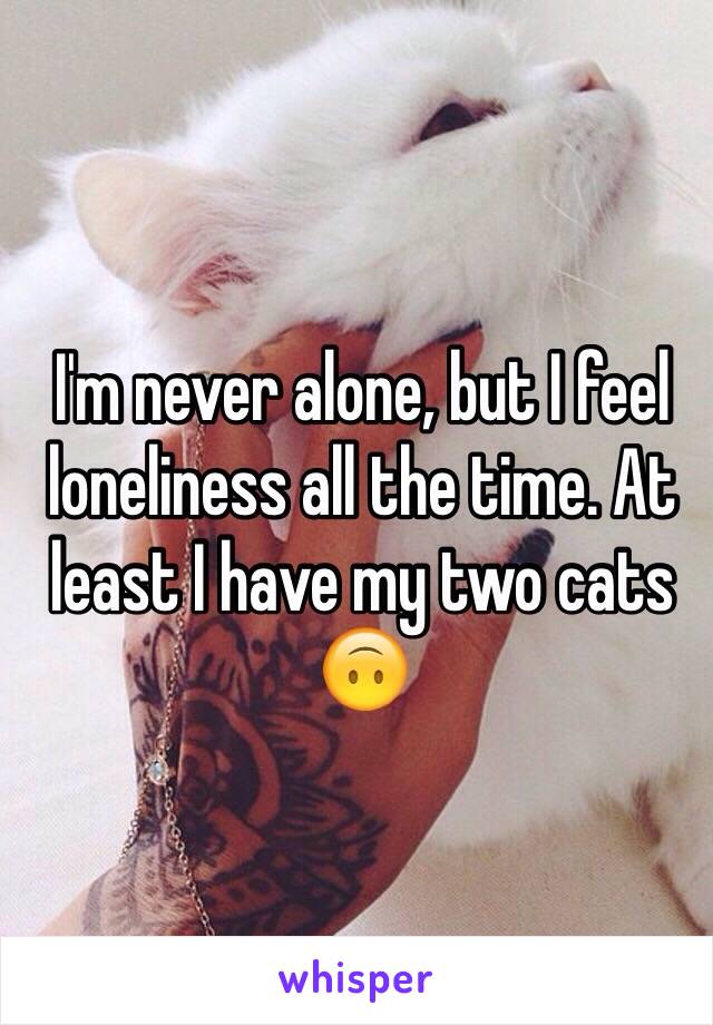 I'm never alone, but I feel loneliness all the time. At least I have my two cats 🙃