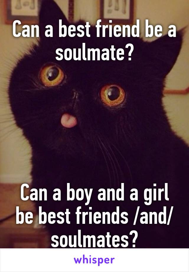 Can a best friend be a soulmate?





Can a boy and a girl be best friends /and/ soulmates?