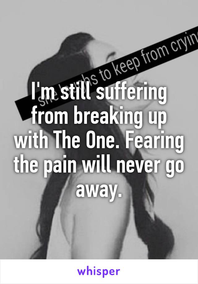 I'm still suffering from breaking up with The One. Fearing the pain will never go away.