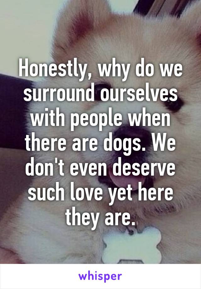 Honestly, why do we surround ourselves with people when there are dogs. We don't even deserve such love yet here they are.