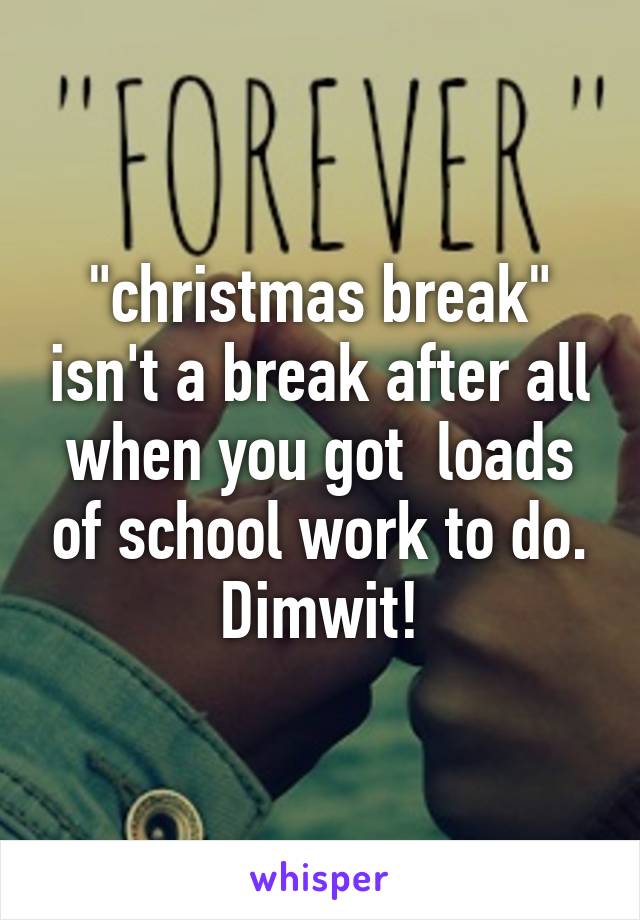 "christmas break" isn't a break after all when you got  loads of school work to do. Dimwit!