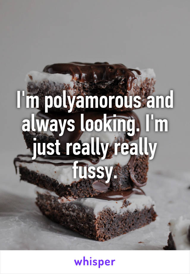 I'm polyamorous and always looking. I'm just really really fussy.