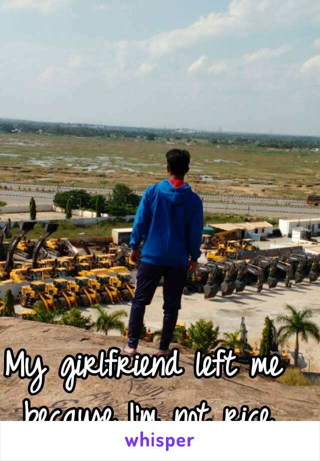 My girlfriend left me because I'm not rice.