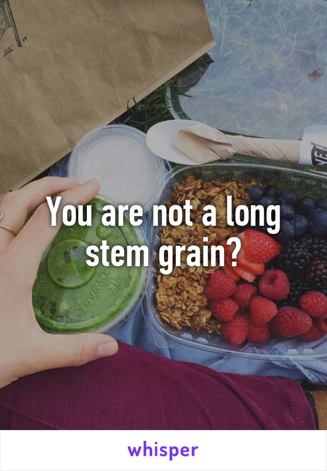 You are not a long stem grain?