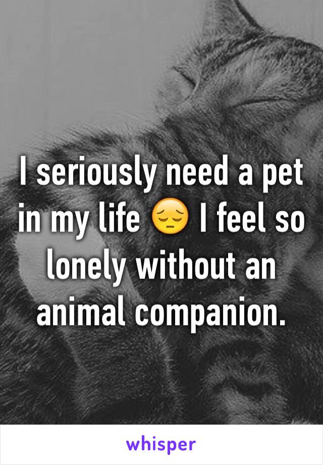 I seriously need a pet in my life 😔 I feel so lonely without an animal companion. 