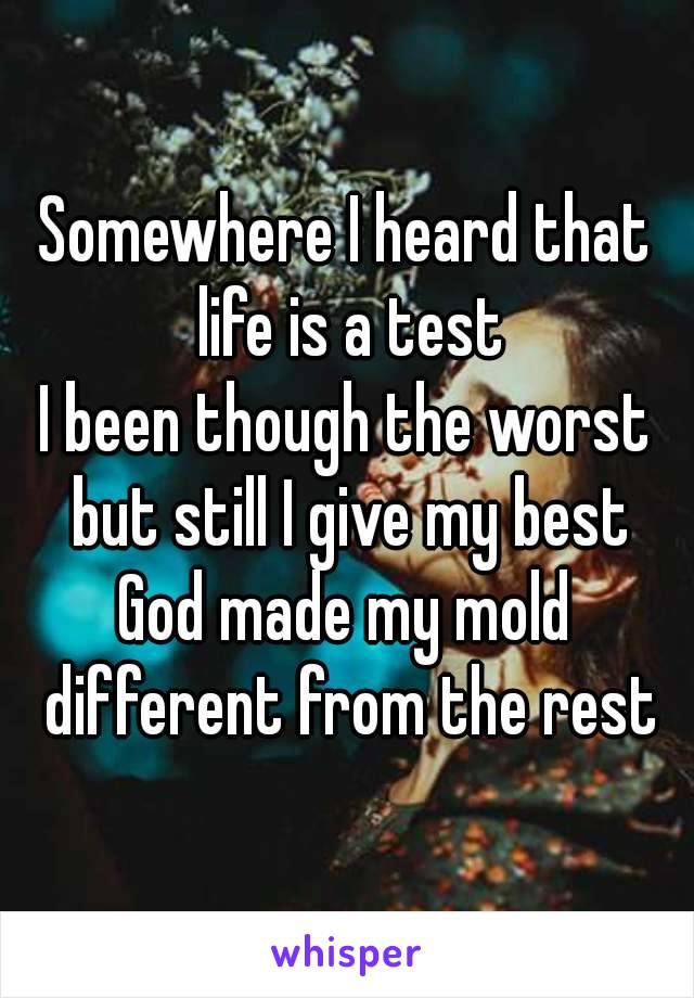 Somewhere I heard that life is a test
I been though the worst but still I give my best
God made my mold different from the rest
