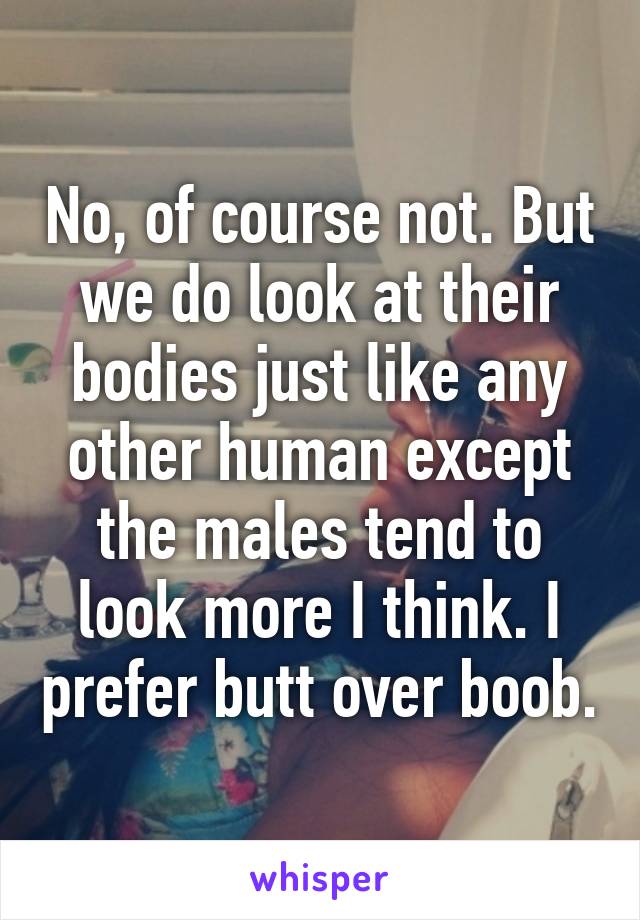 No, of course not. But we do look at their bodies just like any other human except the males tend to look more I think. I prefer butt over boob.