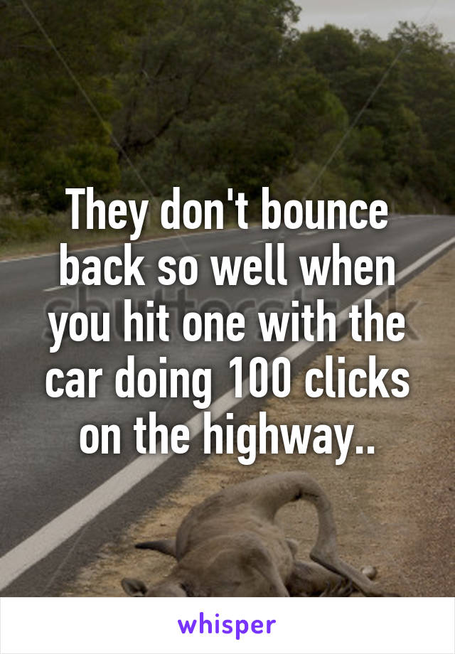 They don't bounce back so well when you hit one with the car doing 100 clicks on the highway..