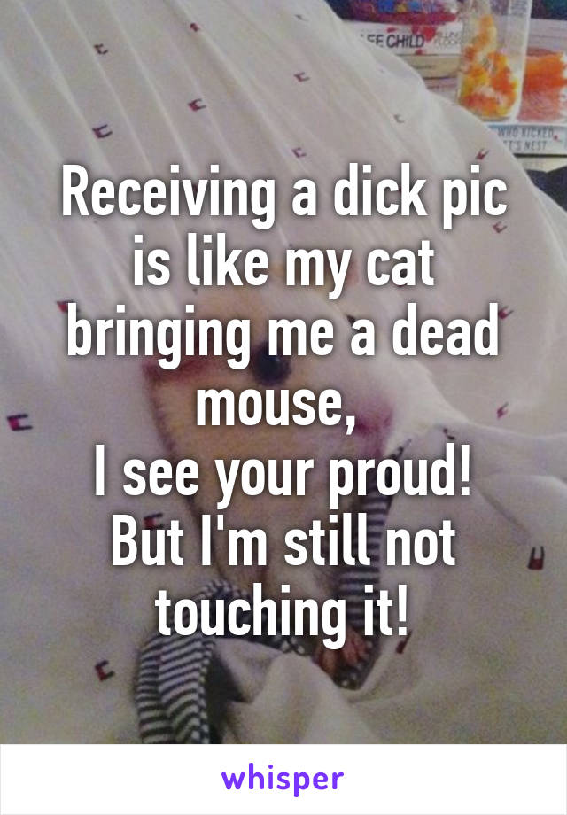 Receiving a dick pic is like my cat bringing me a dead mouse, 
I see your proud! But I'm still not touching it!