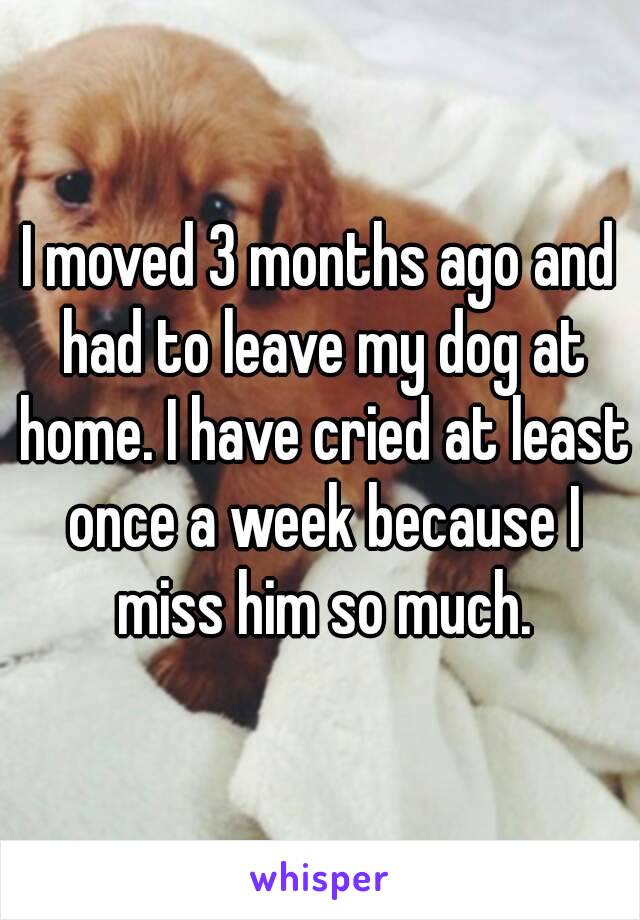 I moved 3 months ago and had to leave my dog at home. I have cried at least once a week because I miss him so much.