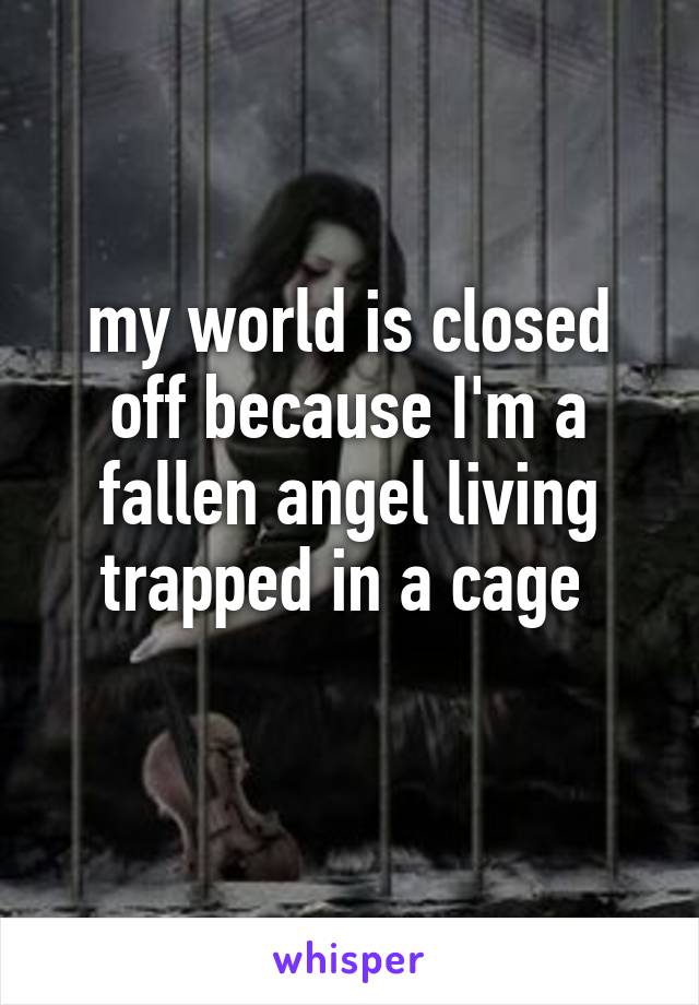 my world is closed off because I'm a fallen angel living trapped in a cage 
