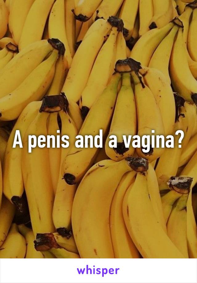 A penis and a vagina?