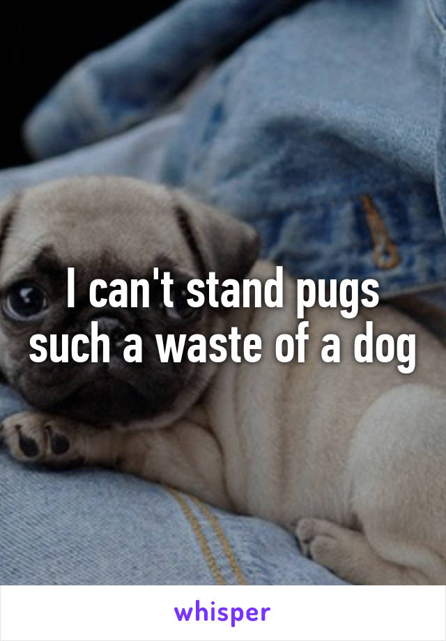 I can't stand pugs such a waste of a dog