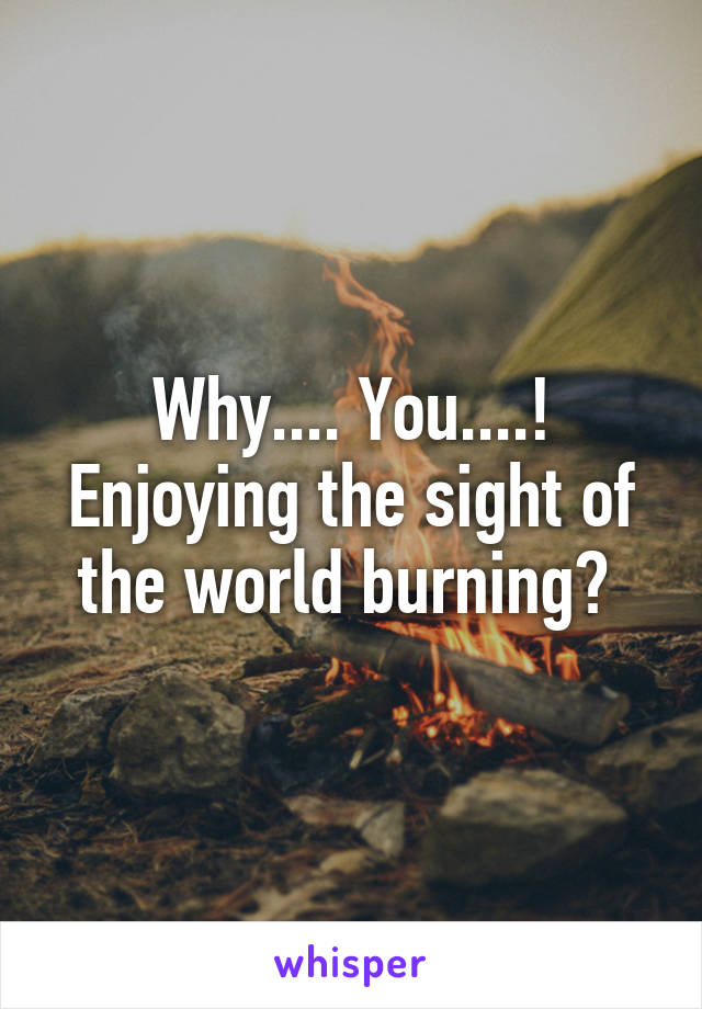 Why.... You....! Enjoying the sight of the world burning? 