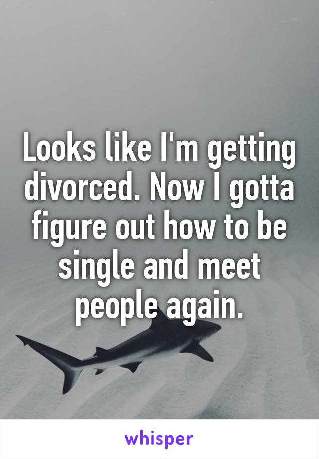 Looks like I'm getting divorced. Now I gotta figure out how to be single and meet people again.