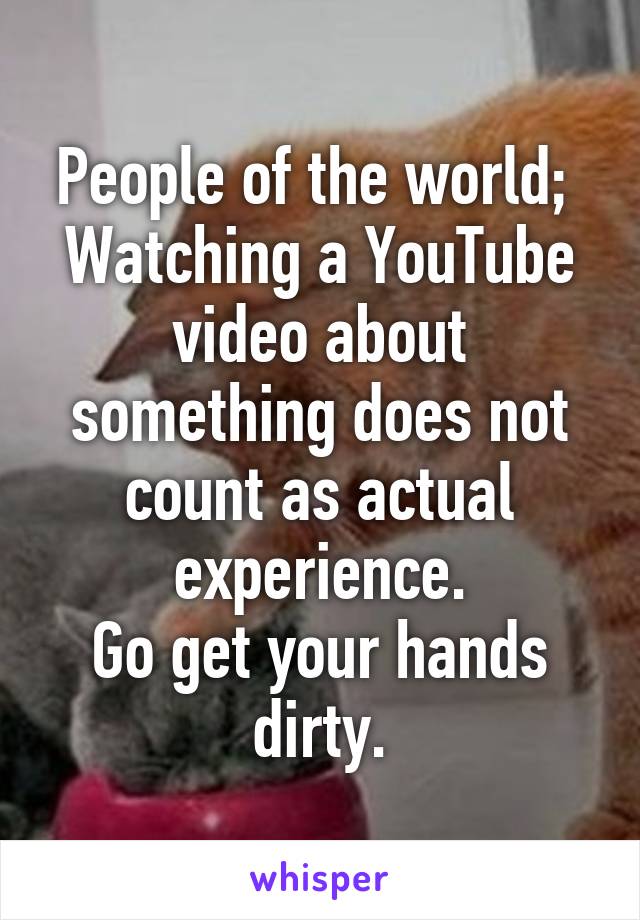 People of the world; 
Watching a YouTube video about something does not count as actual experience.
Go get your hands dirty.