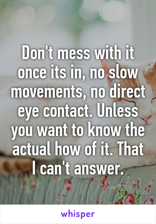 Don't mess with it once its in, no slow movements, no direct eye contact. Unless you want to know the actual how of it. That I can't answer.