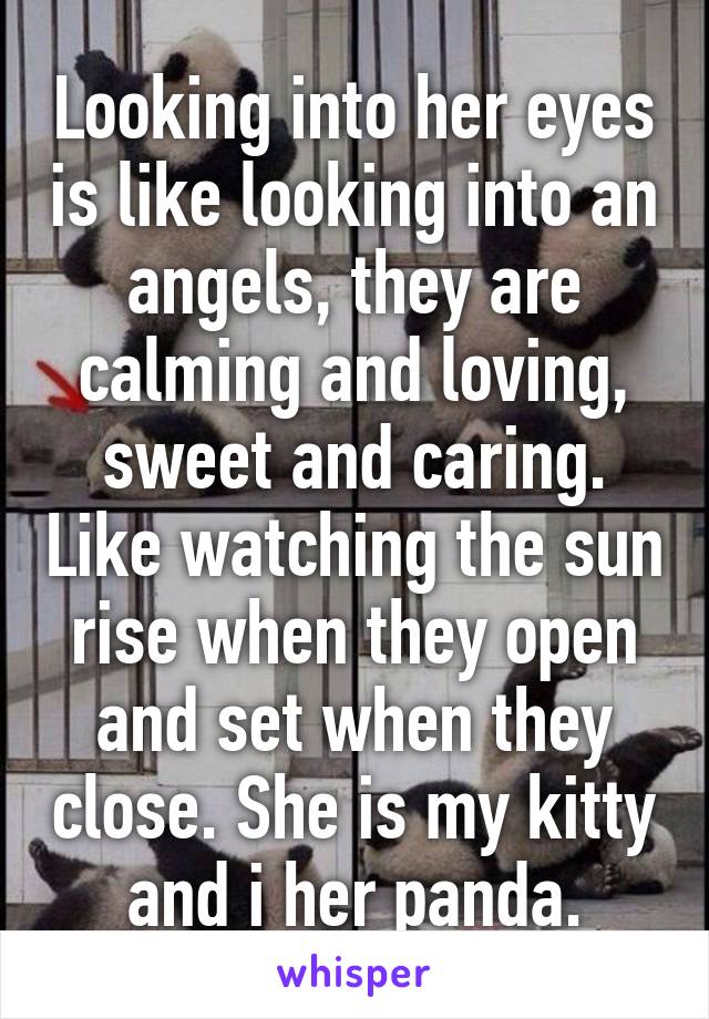 Looking into her eyes is like looking into an angels, they are calming and loving, sweet and caring. Like watching the sun rise when they open and set when they close. She is my kitty and i her panda.