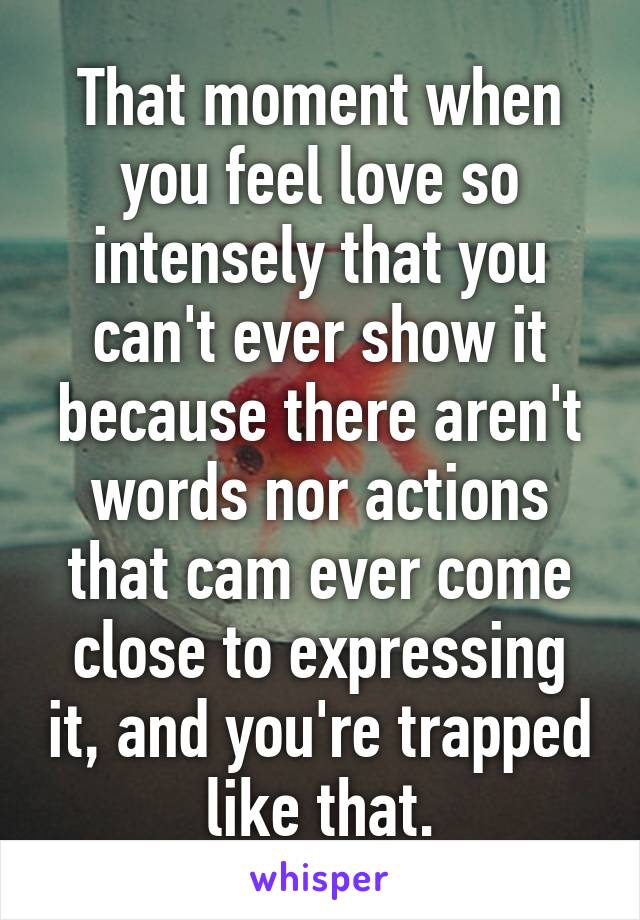 That moment when you feel love so intensely that you can't ever show it because there aren't words nor actions that cam ever come close to expressing it, and you're trapped like that.