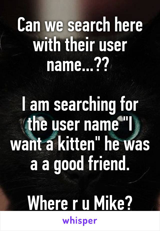 Can we search here with their user name...?? 

I am searching for the user name "I want a kitten" he was a a good friend.

Where r u Mike?