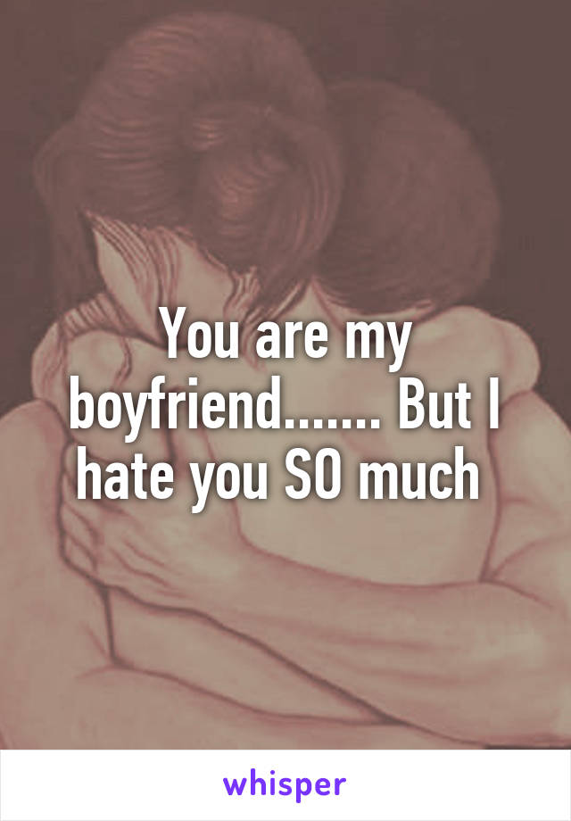 You are my boyfriend....... But I hate you SO much 