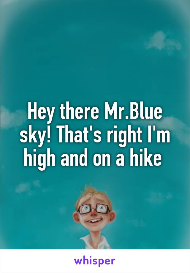 Hey there Mr.Blue sky! That's right I'm high and on a hike 