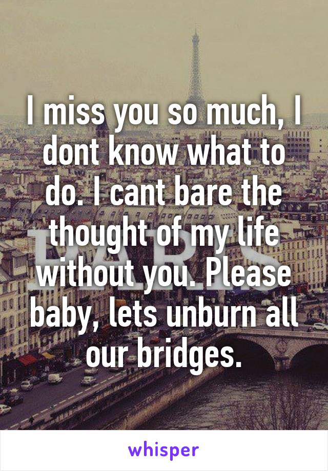 I miss you so much, I dont know what to do. I cant bare the thought of my life without you. Please baby, lets unburn all our bridges.