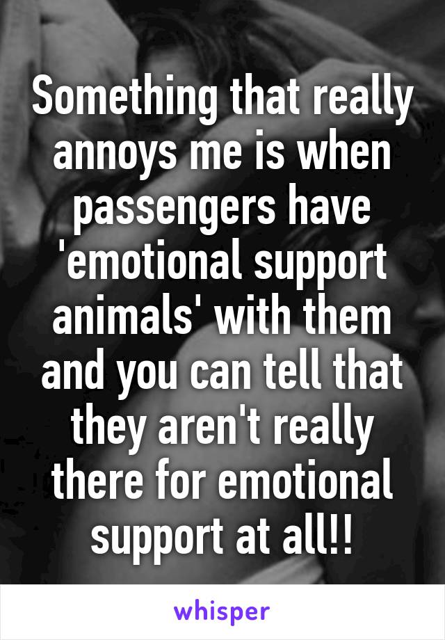 Something that really annoys me is when passengers have 'emotional support animals' with them and you can tell that they aren't really there for emotional support at all!!