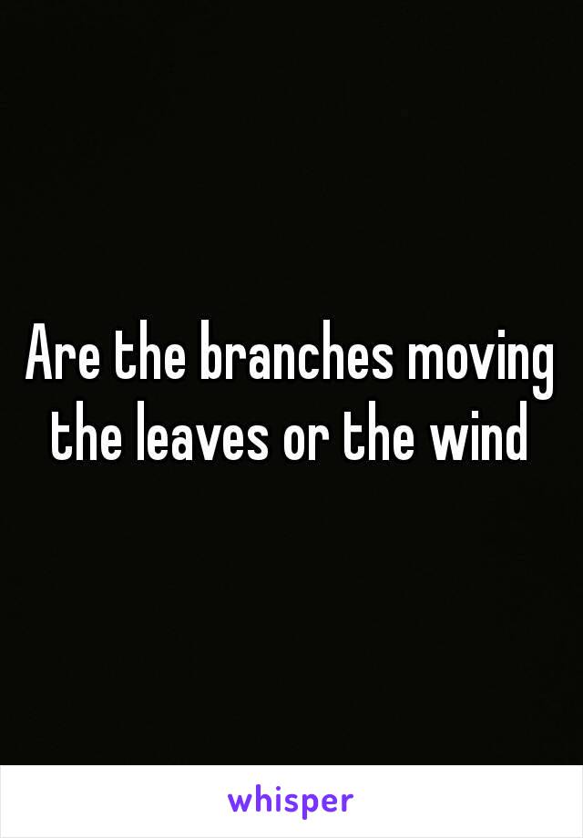 Are the branches moving the leaves or the wind 