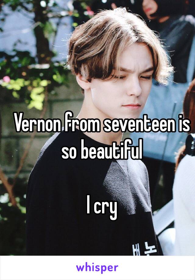 Vernon from seventeen is so beautiful

I cry 