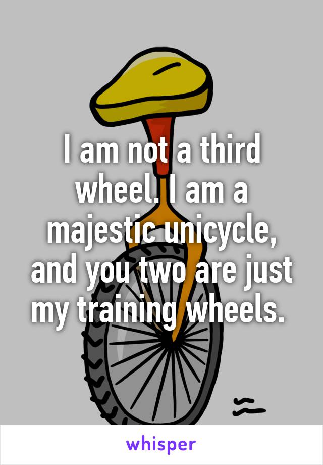 I am not a third wheel. I am a majestic unicycle, and you two are just my training wheels. 