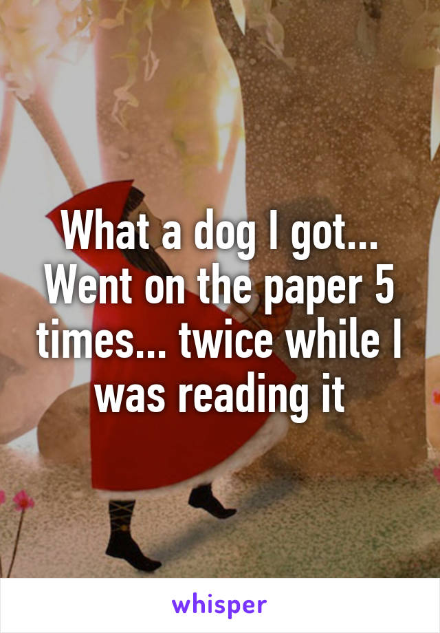 What a dog I got... Went on the paper 5 times... twice while I was reading it