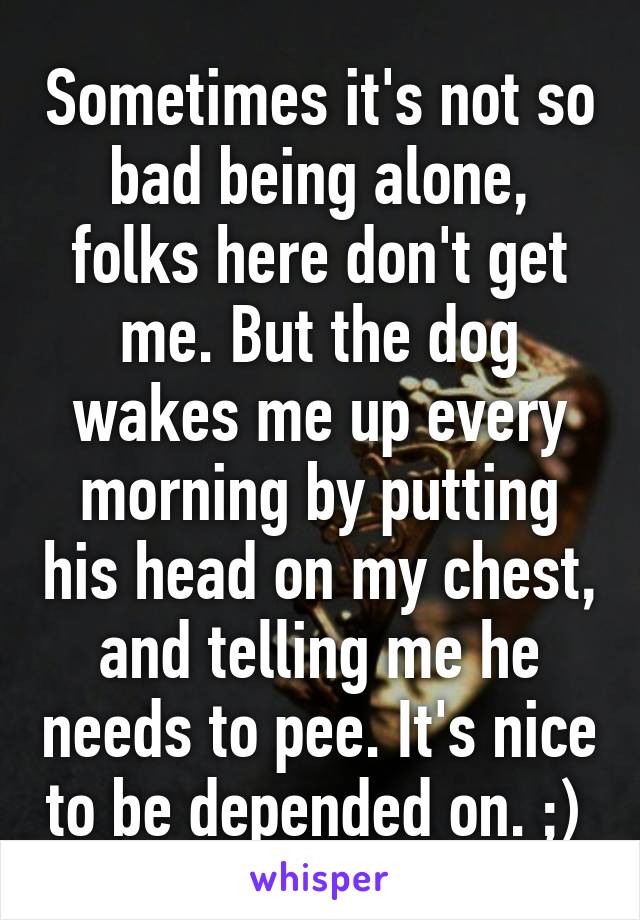 Sometimes it's not so bad being alone, folks here don't get me. But the dog wakes me up every morning by putting his head on my chest, and telling me he needs to pee. It's nice to be depended on. ;) 