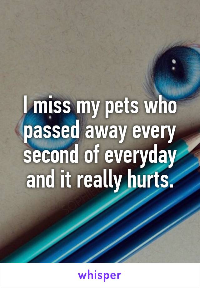 I miss my pets who passed away every second of everyday and it really hurts.