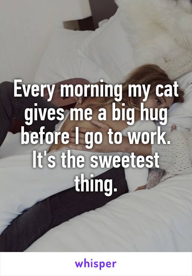 Every morning my cat gives me a big hug before I go to work. It's the sweetest thing.