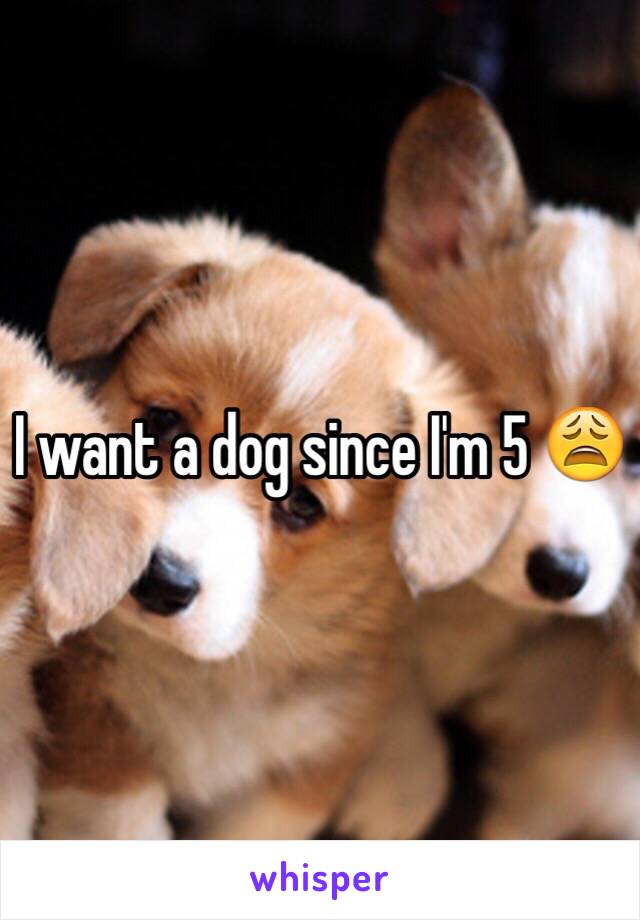 I want a dog since I'm 5 😩