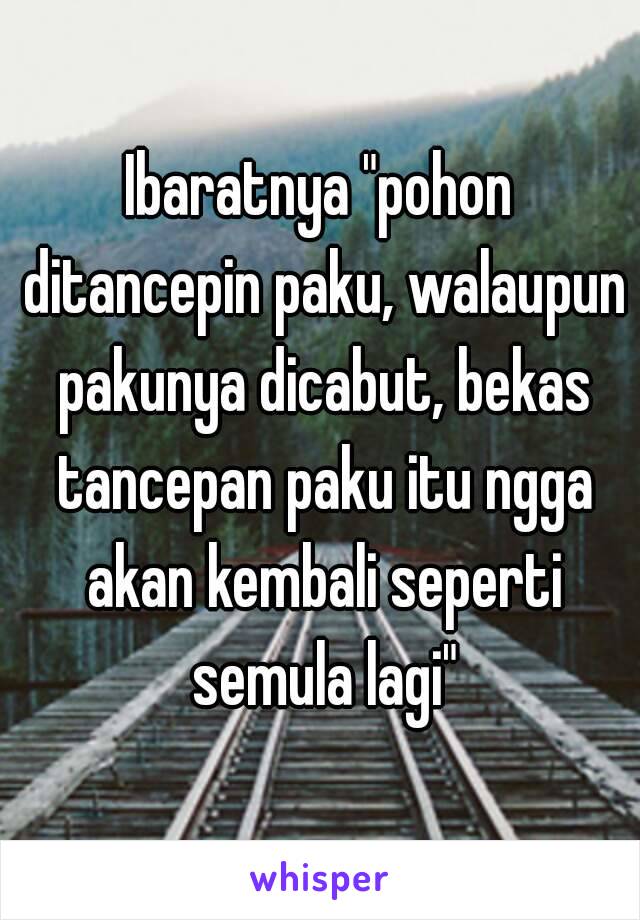 Ibaratnya "pohon ditancepin paku, walaupun pakunya dicabut, bekas tancepan paku itu ngga akan kembali seperti semula lagi"