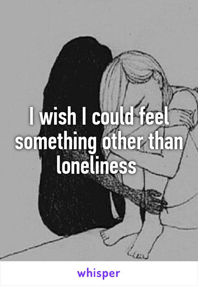 I wish I could feel something other than loneliness 