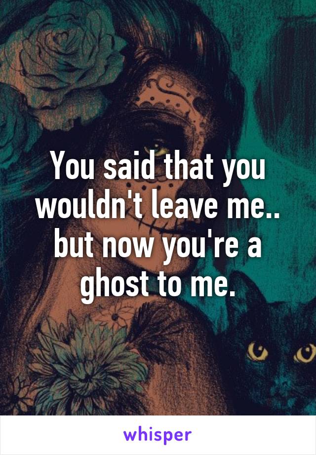 You said that you wouldn't leave me.. but now you're a ghost to me.