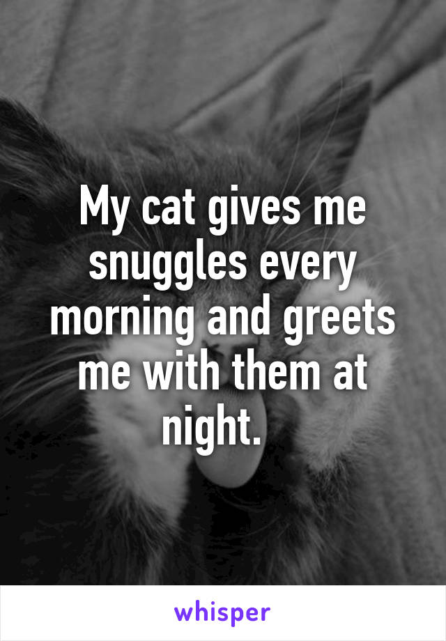 My cat gives me snuggles every morning and greets me with them at night.  