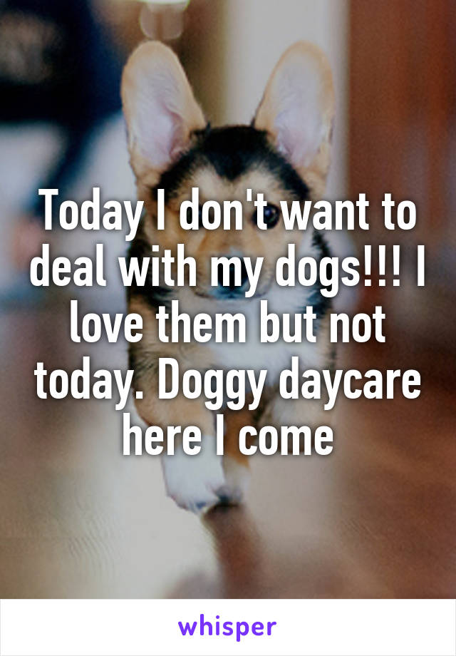 Today I don't want to deal with my dogs!!! I love them but not today. Doggy daycare here I come