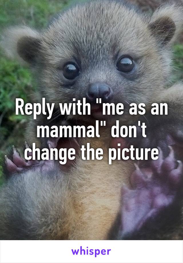 Reply with "me as an mammal" don't change the picture