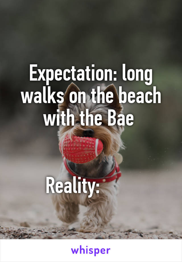 Expectation: long walks on the beach with the Bae 


Reality:        