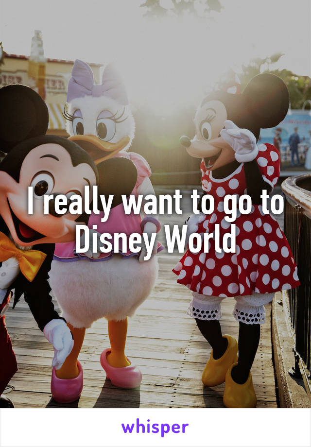 I really want to go to Disney World