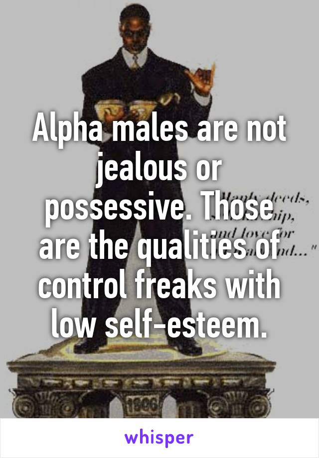 Alpha males are not jealous or possessive. Those are the qualities of control freaks with low self-esteem.