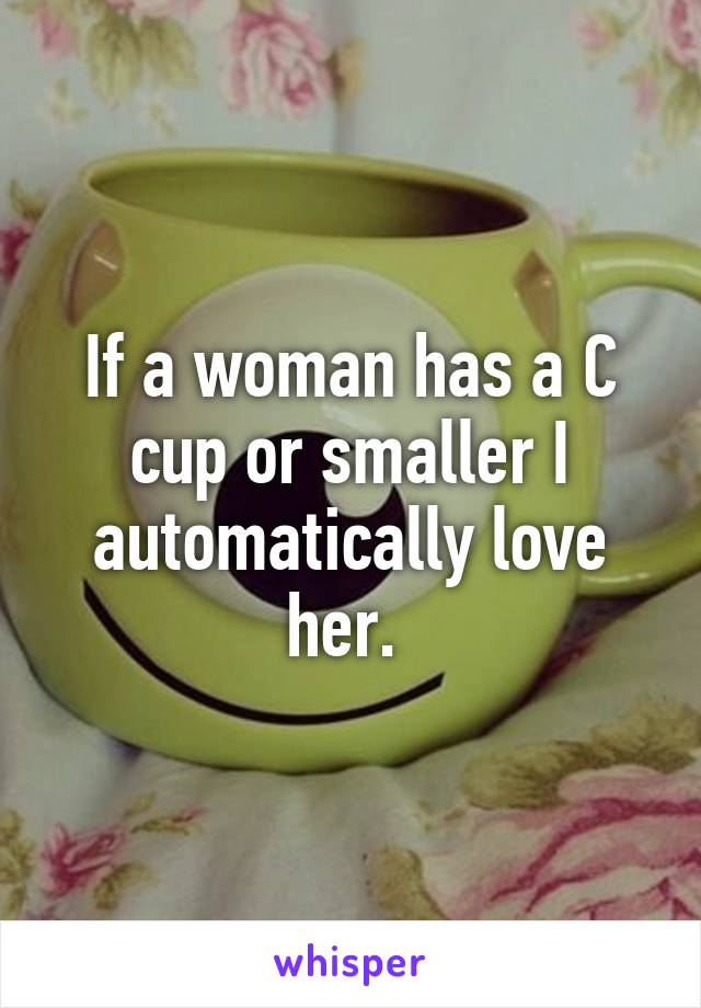 If a woman has a C cup or smaller I automatically love her. 