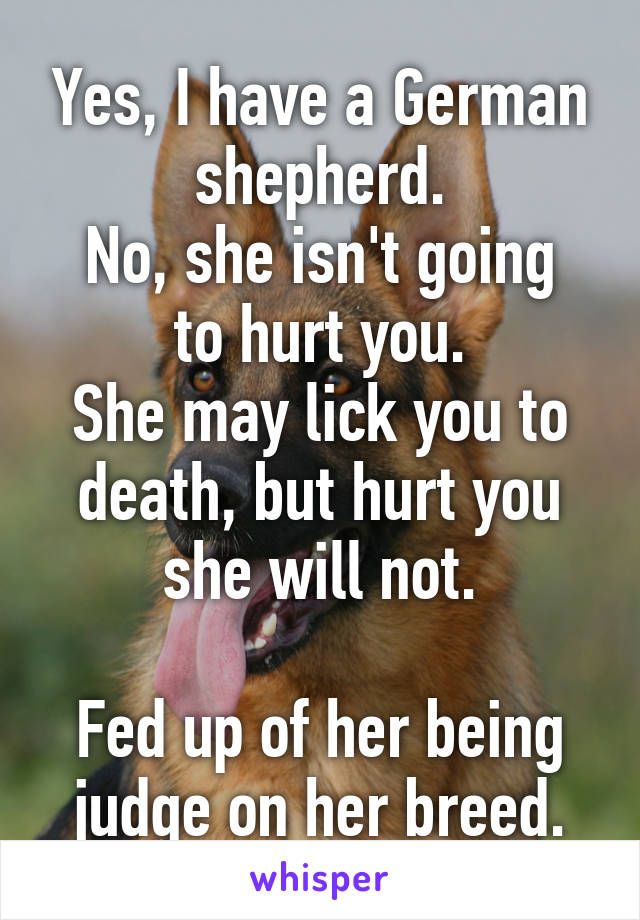 Yes, I have a German shepherd.
No, she isn't going to hurt you.
She may lick you to death, but hurt you she will not.

Fed up of her being judge on her breed.