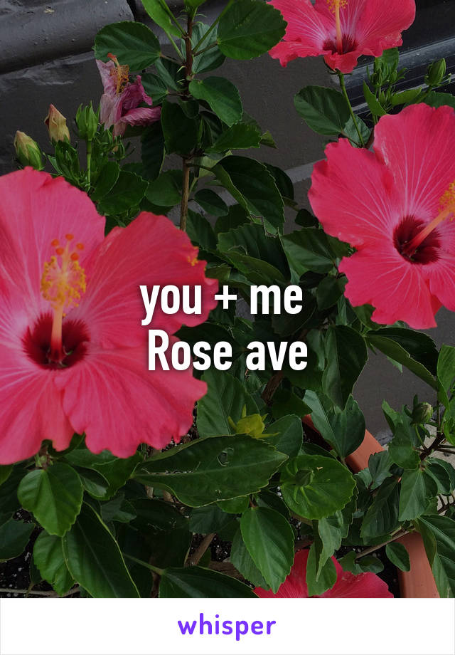 you + me 
Rose ave